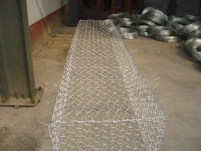 P3130063.jpg P3130063.jpg