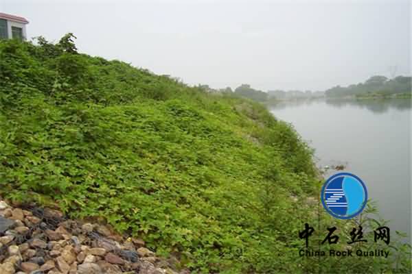 201302251408054218_副本 - 副本_副本 - 副本.jpg 201302251408054218_副本 - 副本_副本 - 副本.jpg